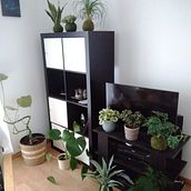 Mon projet du cours : Initiation à la décoration d'intérieur avec des plantes. Interior Design, L, scape Architecture, Decoration, Interior Decoration, DIY, Floral, Plant Design, and Spatial Design project by Sabrina Barel - 02.03.2022