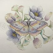 Mój projekt z kursu: Rysunek naturalistyczny i kompozycja w akwareli. Een project van Traditionele illustratie,  Tekening, Aquarelschilderen y Naturalistische illustratie van mariolah - 04.02.2022