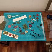 Mi Proyecto del curso: Técnicas básicas de prensado botánico. Un proyecto de Artesanía, Bellas Artes, Collage, DIY, Diseño floral y vegetal de Teresa Rojas - 04.02.2022