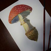 Il mio progetto del corso: Illustrazione di elementi naturali ad acquerello Ein Projekt aus dem Bereich Traditionelle Illustration, Aquarellmalerei und Naturalistische Illustration von Elena Gangemi - 04.02.2022
