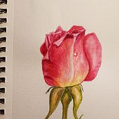 Watercolor projects . % Laurel Webb tarafından hazırlanan Güzel sanatlar projesi - 02.04.2022