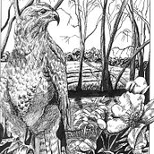 Mon projet du cours : Illustration à l'encre et à la plume : représentez le monde naturel Ein Projekt aus dem Bereich Skizzenentwurf, Zeichnung, Artistische Zeichnung, Sketchbook, Illustration mit Tinte und Naturalistische Illustration von marie orilel - 04.02.2022