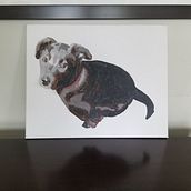 my dog tessa. Acr, and lic Painting project by Leah Brown - 02.05.2022