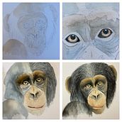 Lobo. Un progetto di Illustrazione tradizionale, Pittura ad acquerello, Disegno realistico e Illustrazione naturalistica di Viviana Pulgar Urquiaga - 05.02.2022