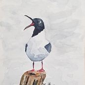 My Sea Birds. Watercolor Painting project by Butch Adams - 02.01.2022