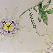 My project in Modern Watercolor Techniques course. Traditional illustration, Painting, Watercolor Painting, and Fine Arts project by Virginia Sunshine - 02.05.2022