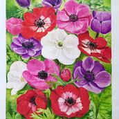 Anemones . Traditional illustration project by Claire McElroy - 03.10.2021