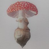 Mi Proyecto del curso: Ilustración de elementos naturales en acuarela. Traditional illustration, Watercolor Painting, and Naturalistic Illustration project by miriam_him - 02.06.2022