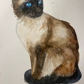 My project in Expressive Animal Portraits in Watercolor course. Traditional illustration, Watercolor Painting, Realistic Drawing, and Naturalistic Illustration project by Pamela Montero - 02.07.2022