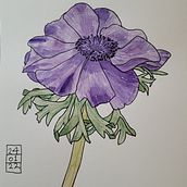 Mijn project van de cursus: Het botanische sketchbook: een meditatieve benadering. Projekt z dziedziny Tradycyjna ilustracja, Sketching,  Rysunek, Malowanie akwarelą, Rysunek botaniczny i Sketchbook użytkownika Anne de Mik - 07.02.2022