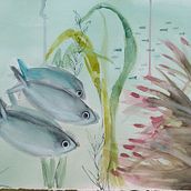 Mi Proyecto del curso: Ilustración de universos marinos en acuarela. Traditional illustration, Painting, Watercolor Painting, and Naturalistic Illustration project by Luli Oliva - 02.09.2022