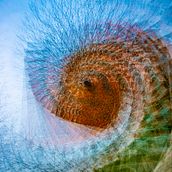 Im Auge des Zyklons. Photograph project by Ralf - 02.09.2022