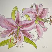My project in Botanical Sketchbooking: A Meditative Approach course. Traditional illustration, Sketching, Drawing, Watercolor Painting, Botanical Illustration, and Sketchbook project by brennan_taryn - 02.09.2022