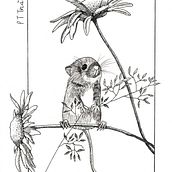 My project in Dip Pen and Ink Illustration: Capturing The Natural World course. Sketching, Drawing, Artistic Drawing, Sketchbook, Ink Illustration, and Naturalistic Illustration project by Tra Pham - 02.09.2022
