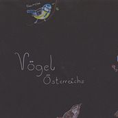 Birds. Traditional illustration project by Isabella - 02.10.2022
