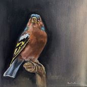 Il mio progetto del corso: Pittura a olio classica per ritratti naturalistici di uccelli. Un proyecto de Bellas Artes, Pintura al óleo e Ilustración naturalista				 de Cristina Franco - 18.01.2022