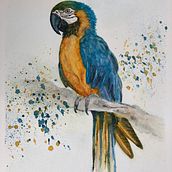 My project in Artistic Watercolor Techniques for Illustrating Birds course. Watercolor Painting project by b_a_rotter - 02.11.2022