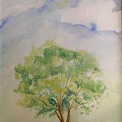 aquarel. Un progetto di Illustrazione tradizionale di Carolina Vale - 11.02.2022