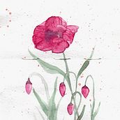 Mi Proyecto del curso: Técnicas modernas de acuarela Ein Projekt aus dem Bereich Traditionelle Illustration, Bildende Künste, Malerei und Aquarellmalerei von Ana Belén García Sánchez - 11.02.2022
