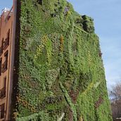 Mon projet du cours : Design d’intérieur de A à Z. Interior Architecture, Interior Design, Interior Decoration, and Spatial Design project by Victoria Deborah Bulambo - 02.12.2022