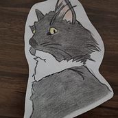 Primeros bocetos. Design e Ilustração tradicional projeto de Natalia Calfulaf Montero - 12.02.2022