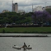 Meu projeto do curso: ibIrapuera. Fine Arts, Watercolor Painting, and Traditional illustration project by Silvia Abramant - 02.12.2022