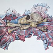 Mein Kursprojekt: Kugelschreiberzeichnungen: Naturalistische Illustration. Traditional illustration, Drawing, Realistic Drawing, and Naturalistic Illustration project by Tina - 02.12.2022