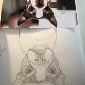 Technique Images inversées (chiens) . Un proyecto de Bocetado, Dibujo y Dibujo a lápiz de Viviane Graillon - 04.01.2022