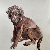 My project in Experimental Watercolor Techniques for Beginners course. Traditional illustration, Fine Arts, Watercolor Painting, and Naturalistic Illustration project by rightsideofmybrain - 02.12.2022