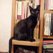 Mi Proyecto del curso: Copywriting: define el tono de tu marca personal. Un progetto di Pubblicità, Scrittura, Cop, writing, Stor, telling, Comunicazione e Narrativa di Sandybell Rodríguez - 13.02.2022