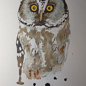 Mein Kursprojekt: Illustriere Vögel mit expressiven Aquarelltechniken. Traditional illustration, Watercolor Painting, Realistic Drawing, and Naturalistic Illustration project by Carmen Bezençon - 02.13.2022