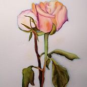 Urban Roses. Un proyecto de Bellas Artes de Bronwyn Tudor - 14.02.2022