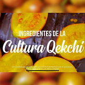 Mi proyecto: Serie Gastronómica en Guatemala Ein Projekt aus dem Bereich Kino, Video und TV, Kino, Video, Videobearbeitung, Audiovisuelle Produktion und Dokumentarfotografie von Rodrigo F. Pop - 15.02.2022