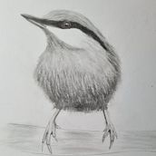 My project in Artistic Watercolor Techniques for Illustrating Birds course. Traditional illustration, and Watercolor Painting project by wzkowapestka - 01.10.2022