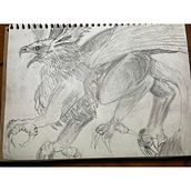 Griffin in graphite 1 Ein Projekt aus dem Bereich Zeichnung, Bleistiftzeichnung und Skizzenentwurf von Sean Bourke - 16.02.2022