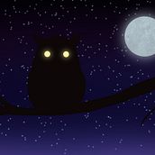 Owl in the night. Traditional illustration project by Alba Schutte - 09.20.2021