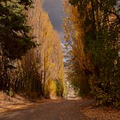 Vamos a la Patagonia. Photograph, Advertising, Graphic Design, Social Media, and Digital Photograph project by Jasmin Urrutia Millapi - 02.16.2022