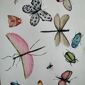 Mi Proyecto del curso: Diario naturalista en acuarela. Een project van Traditionele illustratie, Aquarelschilderen,  Botanische illustratie, Sketchbook y Naturalistische illustratie van Carmina Sanchez-Bayo - 16.02.2022