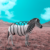Meu projeto do curso: Fotomontagem e ilustrações fantásticas com Photoshop. Projekt z dziedziny Fotografia,  Kolaż, Retuszowanie fotografii, Ilustracja c, frowa,  Kompoz, cja w fotografii i Fotomontaż użytkownika Neto Paz - 15.02.2022