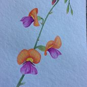 My project in Creation of Color Palettes with Watercolor course. Traditional illustration, Fine Arts, Painting, Watercolor Painting, and Color Theor project by Sharon O’Rourke - 02.11.2022