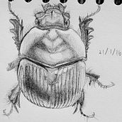 My several previous artworks. Traditional illustration, Sketching, Creativit, Drawing, Sketchbook, Pencil Drawing, Realistic Drawing, Ink Illustration, and Naturalistic Illustration project by Uijun Hwang - 02.17.2022
