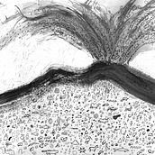 Ilustración naturaleza . Un progetto di Paesaggismo, Illustrazione infantile, Illustrazione tradizionale, Illustrazione con inchiostro, Disegno e Illustrazione naturalistica di kathelijne_bonne - 17.02.2022