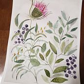 My Garden. Ilustração tradicional, Pintura, Pintura em aquarela, Ilustração botânica, e Criatividade projeto de Judith Umlauf - 17.02.2022