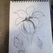 Mi Proyecto del curso: Tatuaje para principiantes. Tattoo Design project by arojas_francisco - 02.16.2022