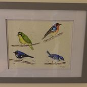 My project in Artistic Watercolor Techniques for Illustrating Birds course. Traditional illustration, Watercolor Painting, Realistic Drawing, and Naturalistic Illustration project by fcourtier - 10.06.2021