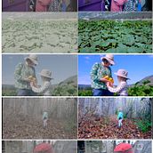 My project in Color Correction Techniques with DaVinci Resolve course. Un progetto di Cinema, video e TV, Postproduzione audiovisiva e Correzione del colore di Mike Ambach - 17.02.2022