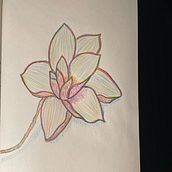 Flor colorida. Un progetto di Sketchbook di Luana Cristina dos Santos Honorato - 17.02.2022