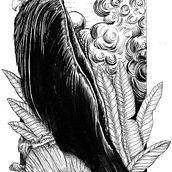 My project in Dip Pen and Ink Illustration: Capturing The Natural World course. Un proyecto de Bocetado, Dibujo, Dibujo artístico, Sketchbook, Ilustración con tinta e Ilustración naturalista				 de Po So - 17.02.2022