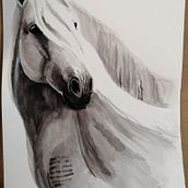 Il mio progetto del corso: Ritratti espressivi di animali ad acquerello. Traditional illustration, Watercolor Painting, Realistic Drawing, and Naturalistic Illustration project by Antonella Vignati - 02.18.2022