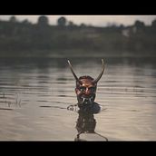Expedición Humboldt - Todos Regresaremos (Video Oficial). Un progetto di Produzione audiovisiva di rceciliaortiz - 18.02.2022